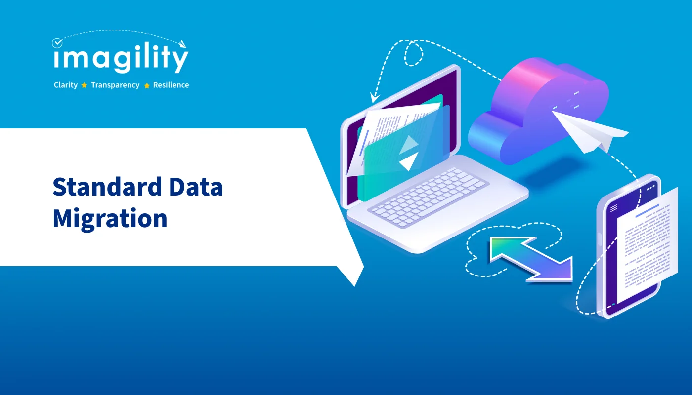 3.Standard Data Migration