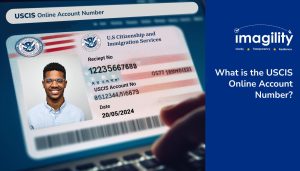 What is the USCIS Online Account Number? - Imagility